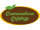 Camandıra